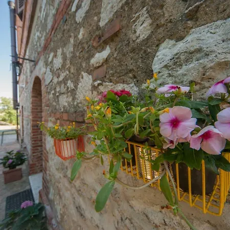 Farm stay Podernuovo Asciano