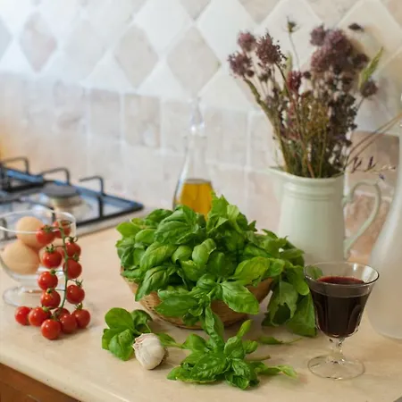 Farm stay Podernuovo *